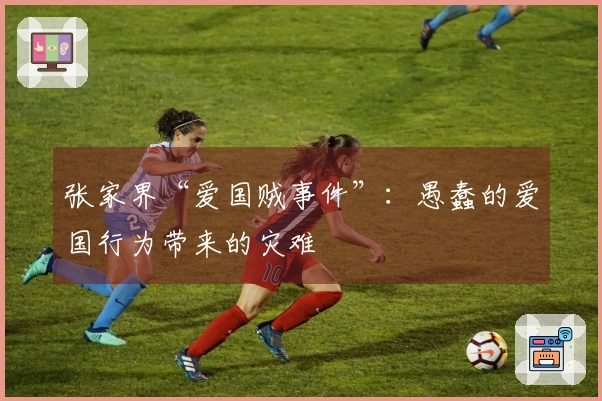 张家界“爱国贼事件”：愚蠢的爱国行为带来的灾难